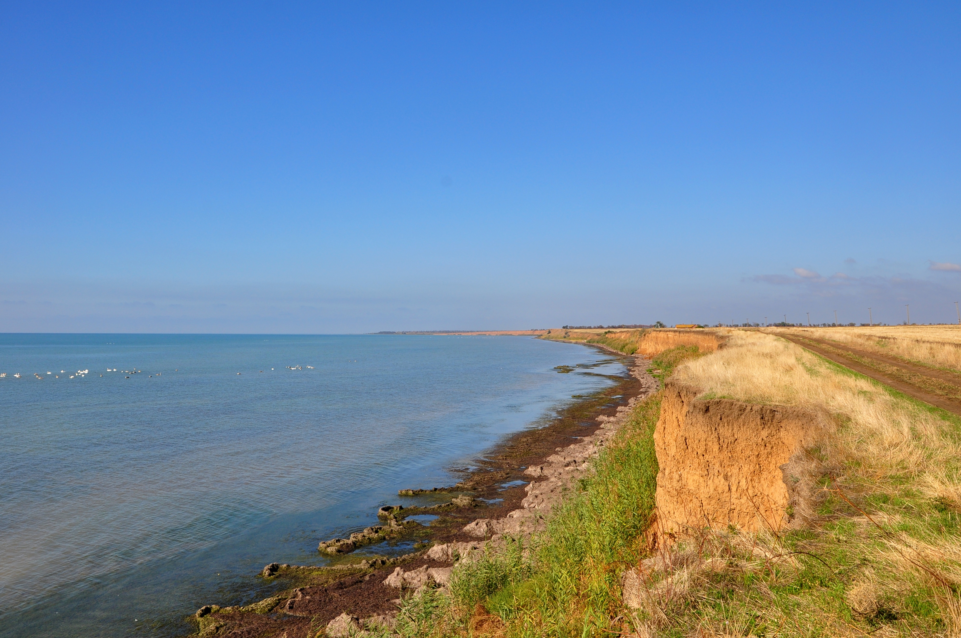 азовское море приморка