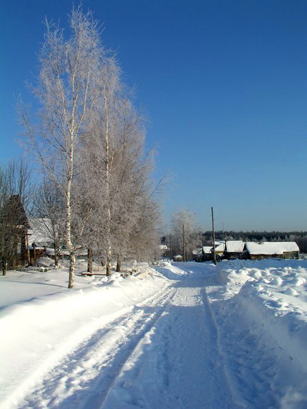 Погода высоково. Сажино Ковровский район. Владимир, деревня Высоково. Высоково Александровский район.