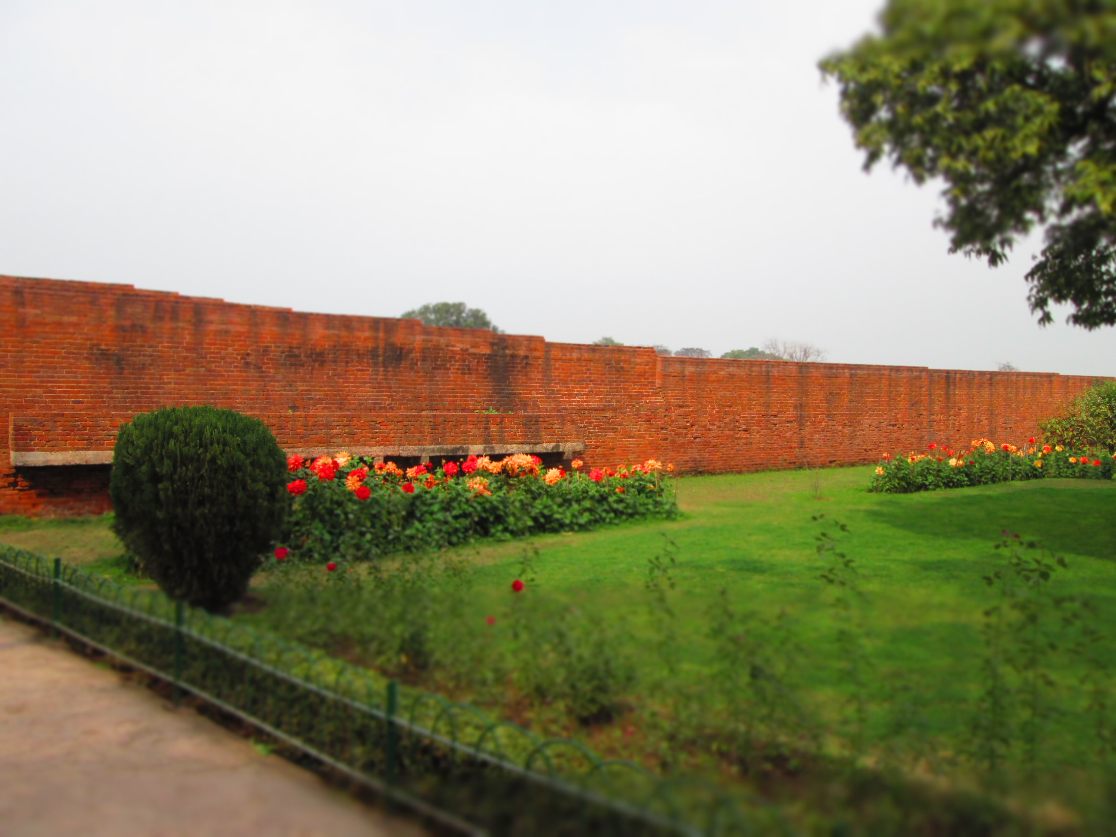 Old Nalanda University Ruins of Rooms