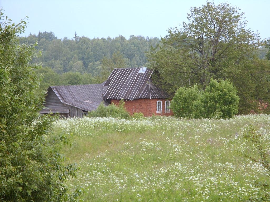 барышево выборгский район. деревня радищево. участок ижс 3612 улица виктора лосева. д гостилицы ломоносовский р н комсомольская 10. ижс санкт петербург.