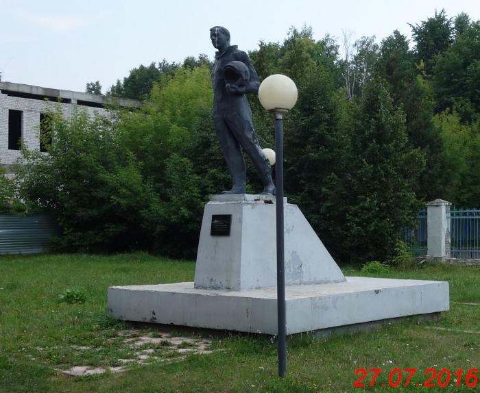 Заволжье нижний. Памятник Юрию Гагарину в Заволжье. Памятник Гагарину в Заволжье Нижегородской области. Парк имени Гагарина Заволжье Нижегородская область. Город Заволжье памятник Гагарина.