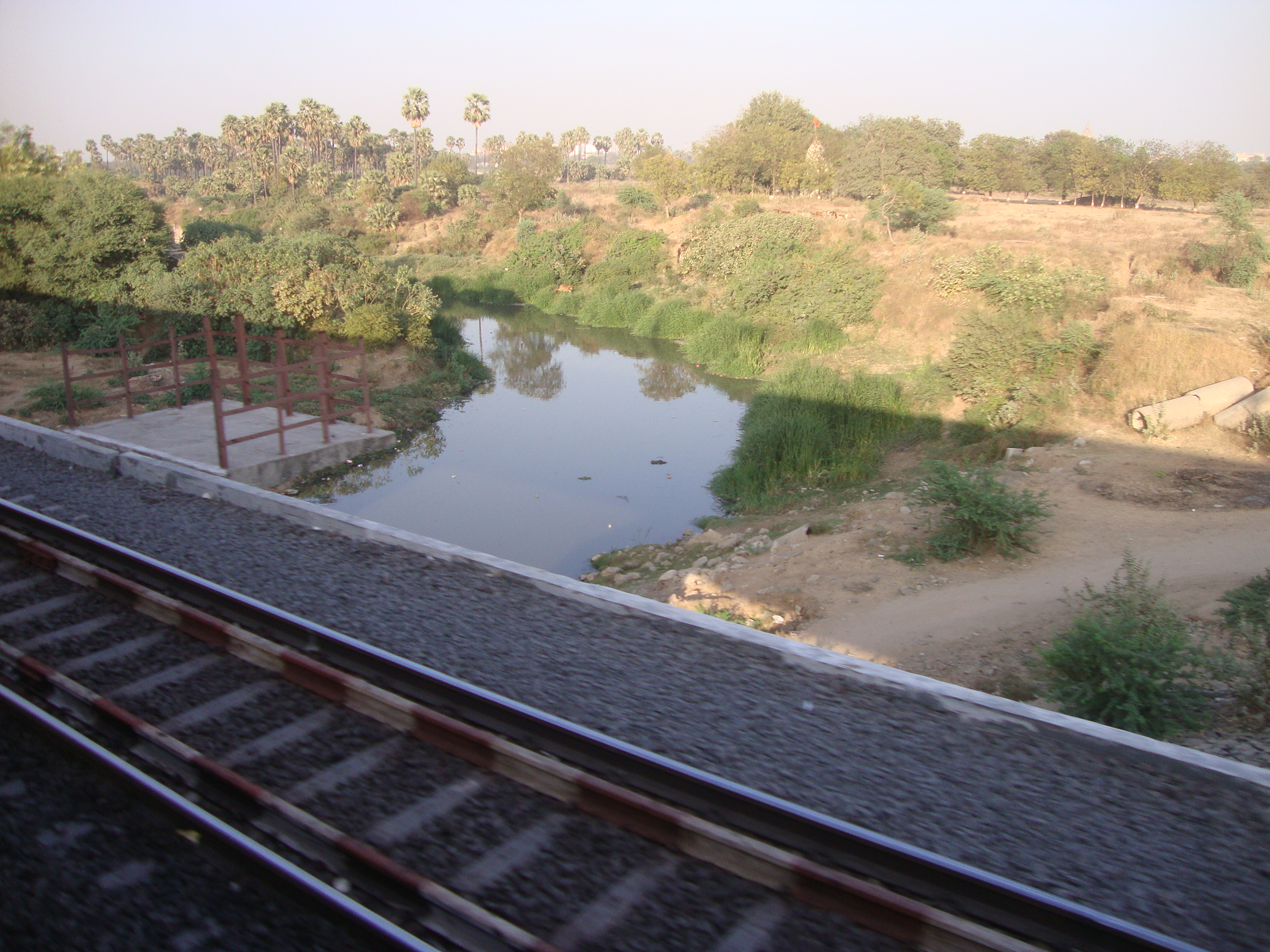 Vishwamitri River