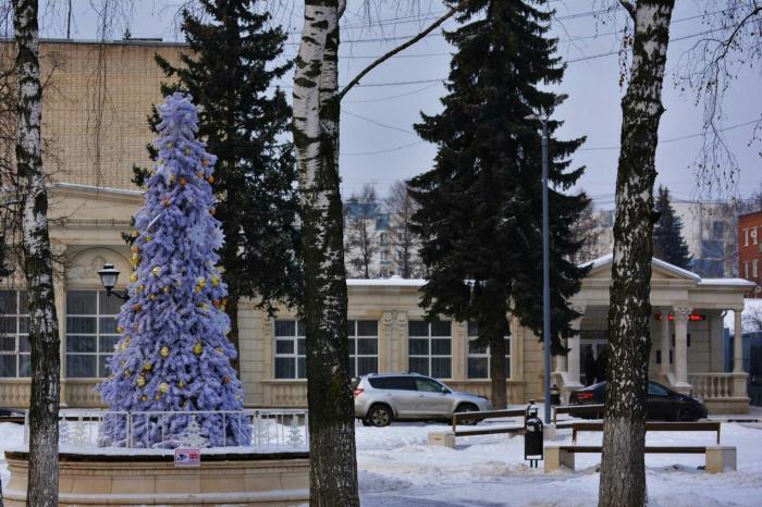 Старая Купавна Московская Область Купить