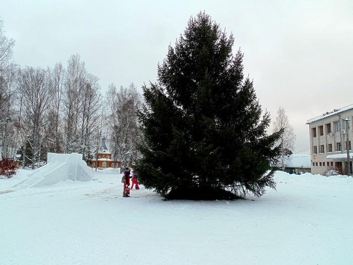 Прогноз погоды в тарногском городке