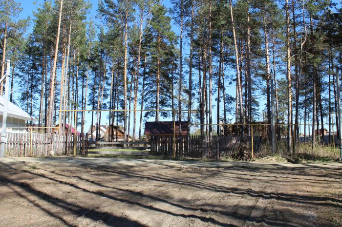 Поселок Кедровое Фото