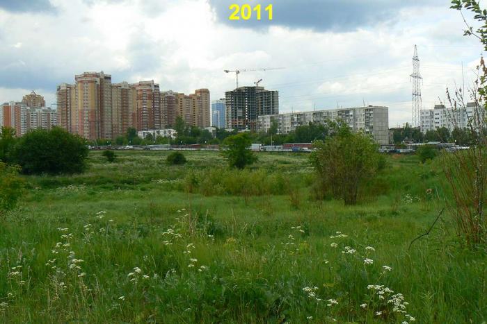 Московская область улица заречная. Галерея пустырь в Балашихе. Леснорядский пустырь. Пустыри в Москве. Пустырь за домом.