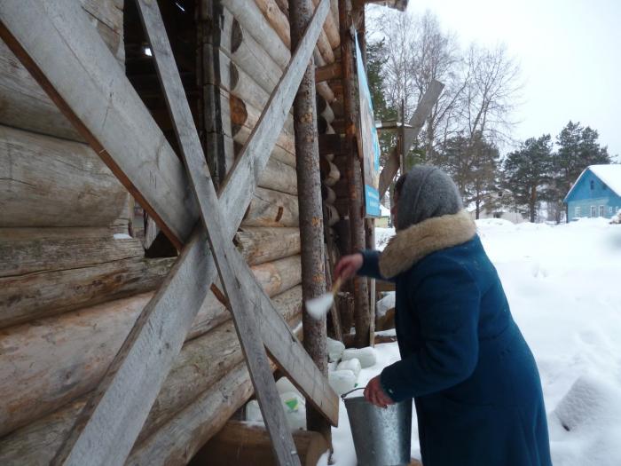 Погода ромашевский погост. Ромашевский Погост Вологодская область. Ромашевский Погост Тарногский. Ромашевский Введенский храм. Ромашевский Погост деревня.