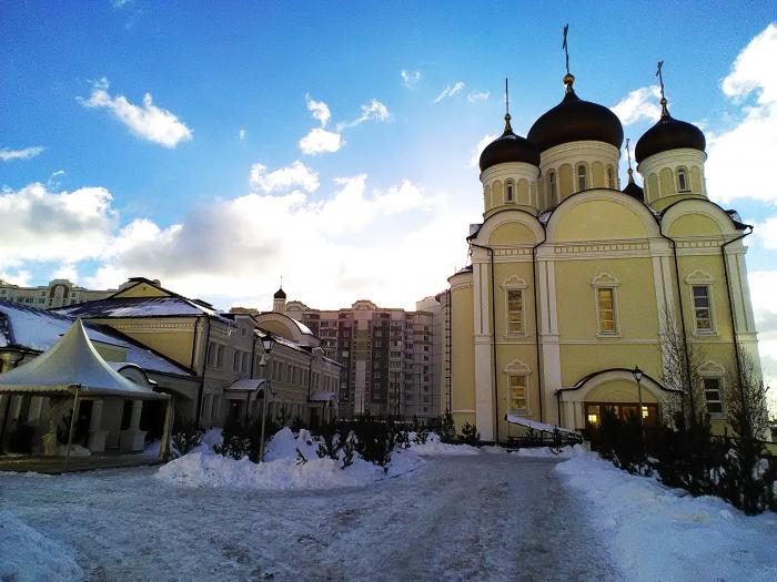 Духовенство храма Живоначальной Троицы в Кожухово