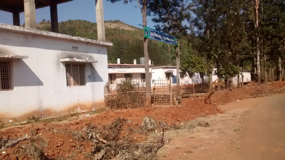 Government Primary School