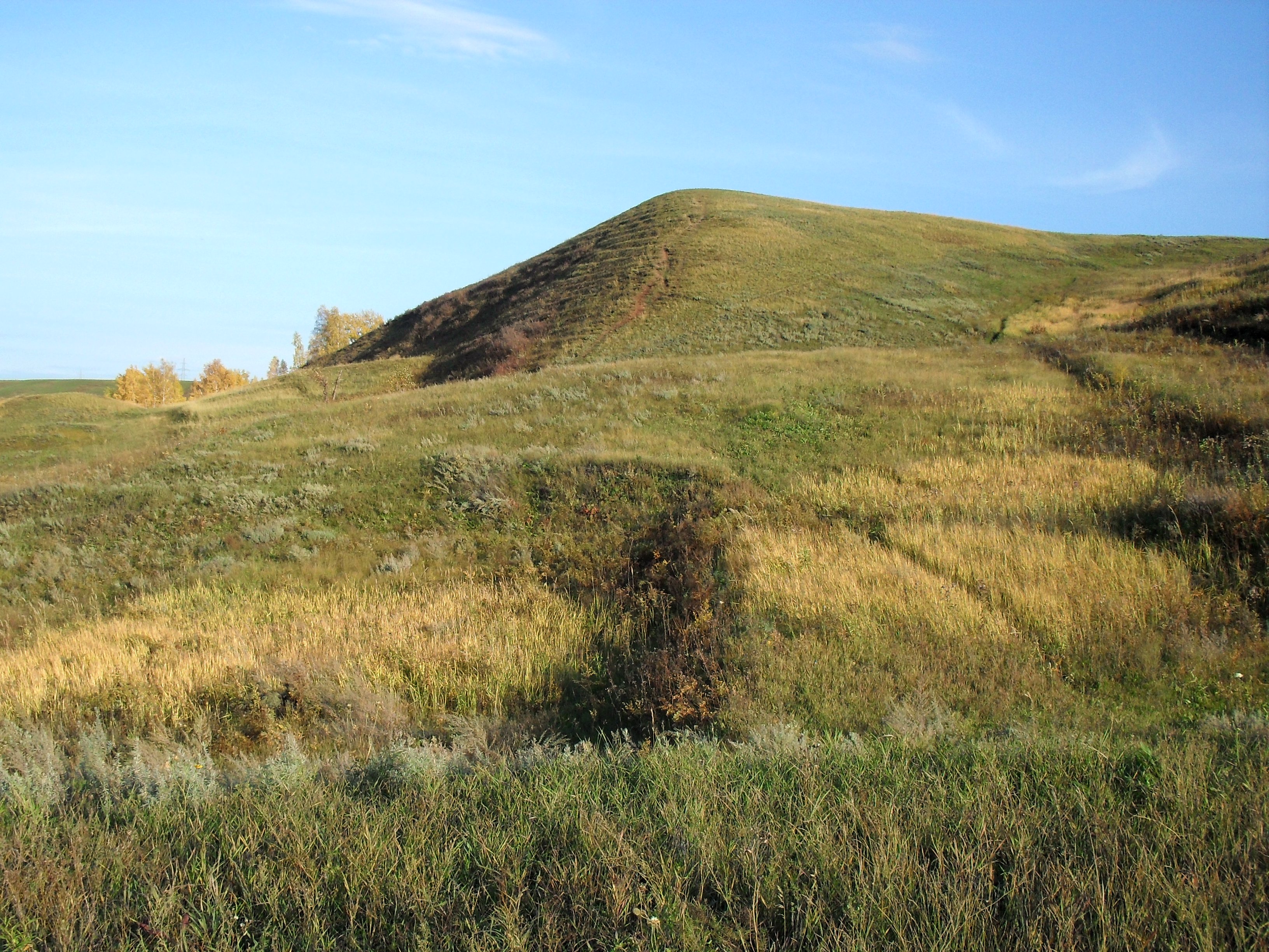 Лысая гора 24. Лысая гора Красноярск. Кузнецовское плато Красноярск горы. Гора плешивая Алтайский район. Лысая гора Назарово.