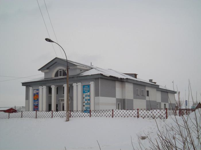 Новоалтайск население. Партизанская 31 Новоалтайск спортивная школа. Школа 166 Новоалтайск. ДЮСШ Г. Новоалтайска. Детская юношеская спортивная школа город Новоалтайск.