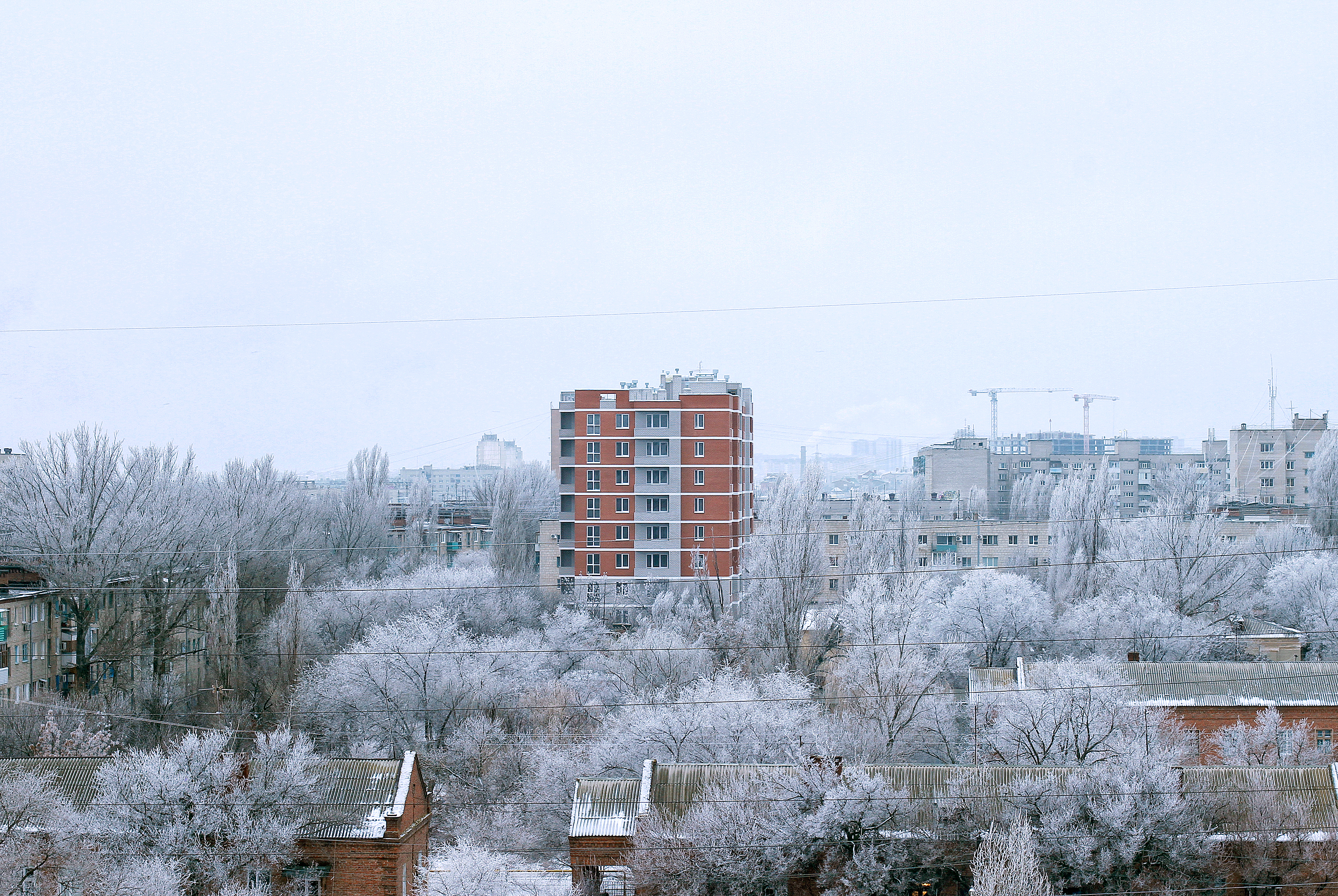 Поселок 40. Посёлок 40 домиков Волгоград. Улица 40 домиков Волгоград. 40 Домиков дом 18.