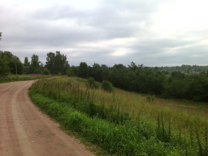 Котово 2. Деревня Котово Новгородская область. Деревня Каево Окуловский район. Деревня Котово Новгородская область Сушиловского. Сушиловское сельское поселение Боровичского района.