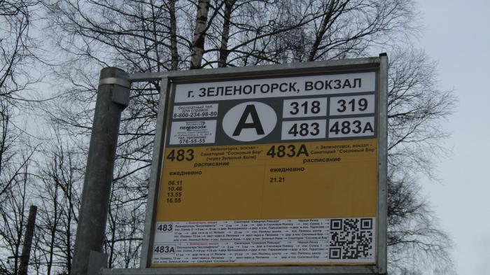 Расписание 420 автобуса от Зеленогорска. Кравтоюусы Зеленогорска. Автобус 211 Зеленогорск.