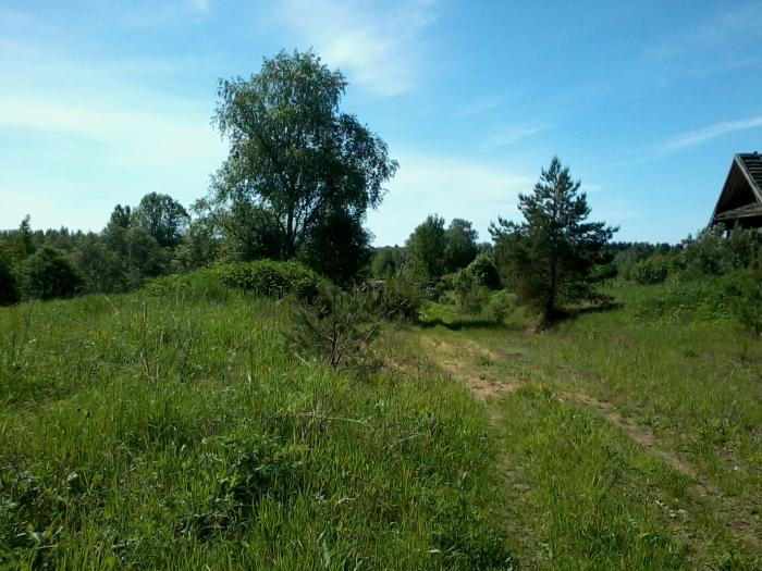 Ленинский городской округ сельское поселение молоковское