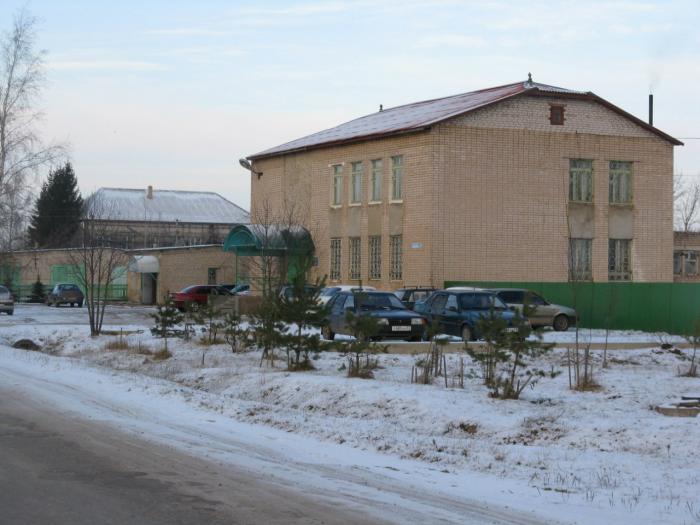 Шимский форум. Камень Шимск. Шимск Наманганская ул., 1а. Шимск Промышленная 6. Шимский ДК.