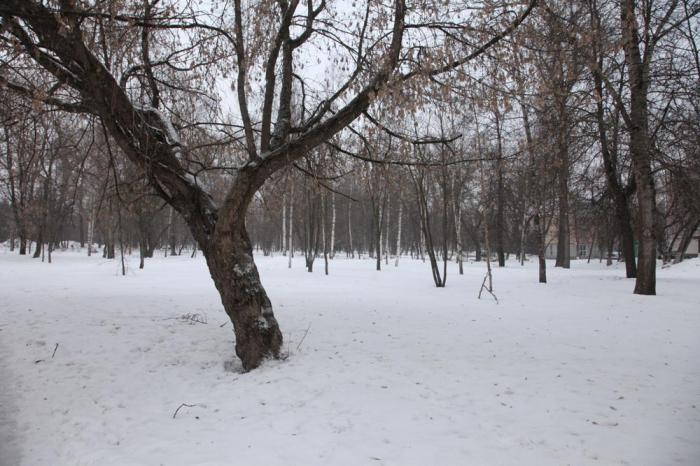 Парк ржевский глебовка новороссийск фото