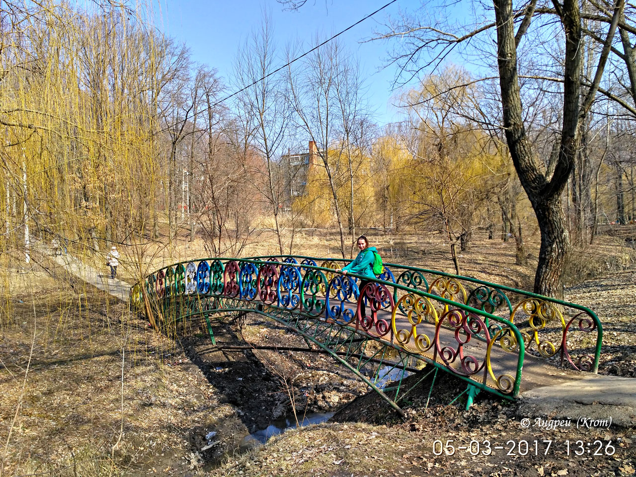 таганрог остров черепаха