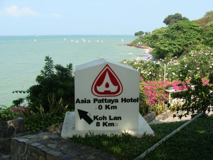 Asia pattaya отзывы