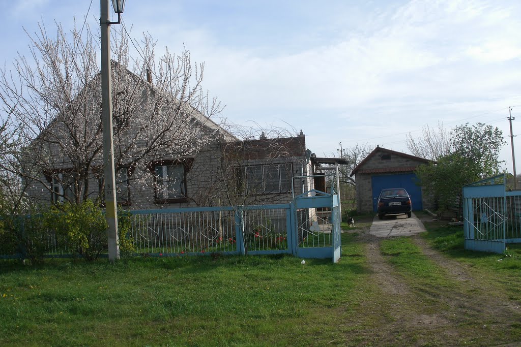 Пришиб запорожская. Село Михайловка Запорожская область. Пришиб Запорожская область. Село Таврия Запорожская область.