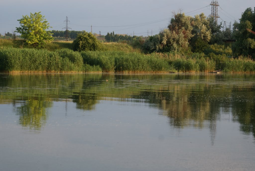 Село балки. Село Каменское Запорожская область Васильевский район. Село Каменское Запорожская область Васильевский район село. Запорожье Васильевский район Каменское. Новобелозёрка Васильевский район.