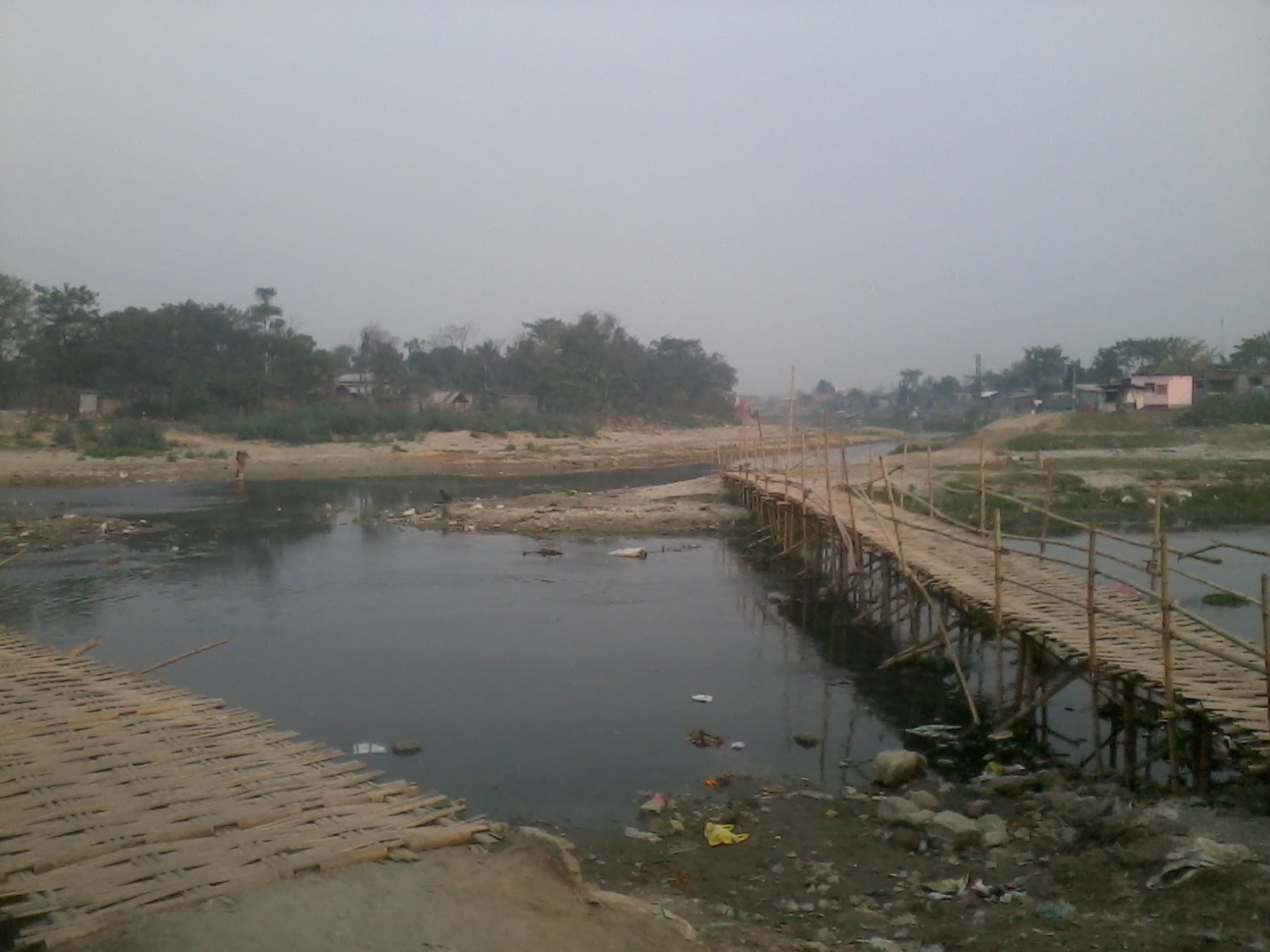 bamboo bridge