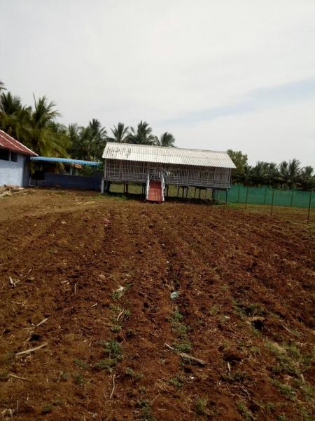 Sri Indhira Farm