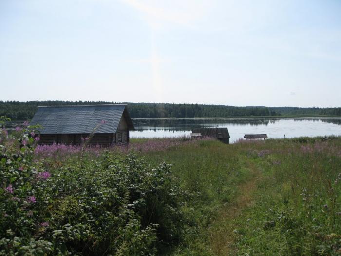 Д волость. Сарозеро Подпорожского района. Сарозеро Вытегорский. Порженское озеро.