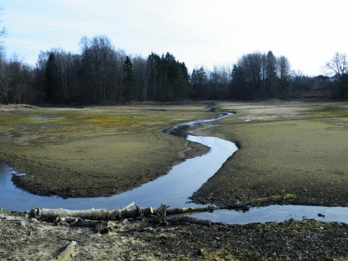 Водоёмы Ропша