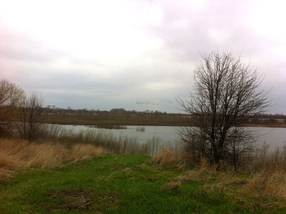 верхние грачики (каменский район). шип-курган бобровский район воронежская. стройка трубопровода. верхние грачики. калитвенская станица ростовская область.