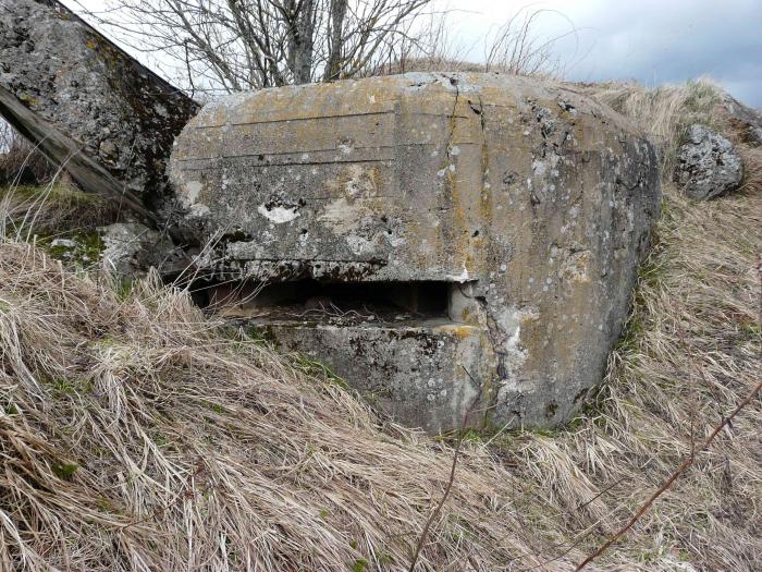 Дот под. 61 Полоцкий укрепрайон. 61 Полоцкий укрепрайон доты. Слуцкий укрепрайон. 61 Полоцкий укрепрайон доты на карте.