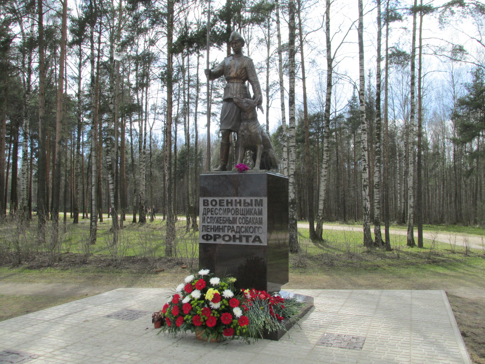 World / Russia / Leningrad / Bugry , 5 км от центра (Бугры)