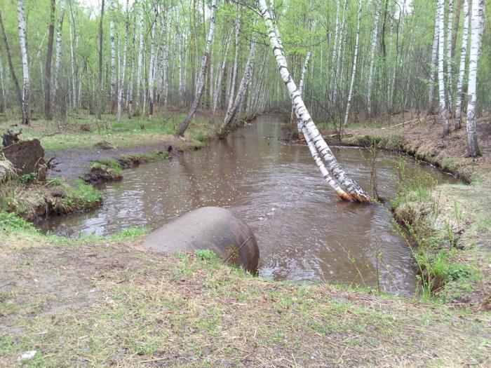 Бревно через речку