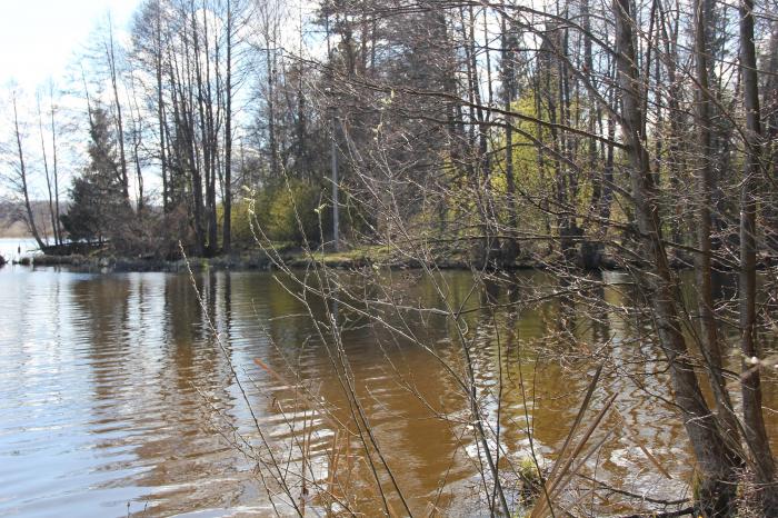 Фото дмитровское водохранилище оренбург