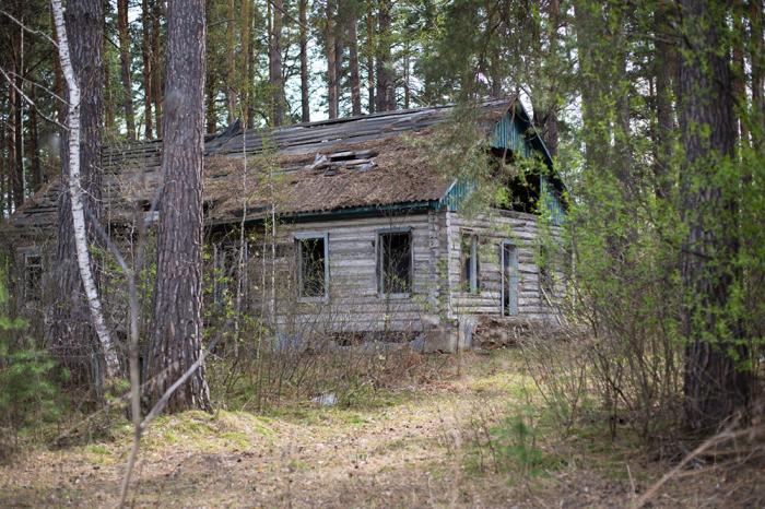 База бывших. Озеро Приветнинское Ленинградская. Развалины турбазы. База отдыха Востокбурвод. Бывшая база отдыха.