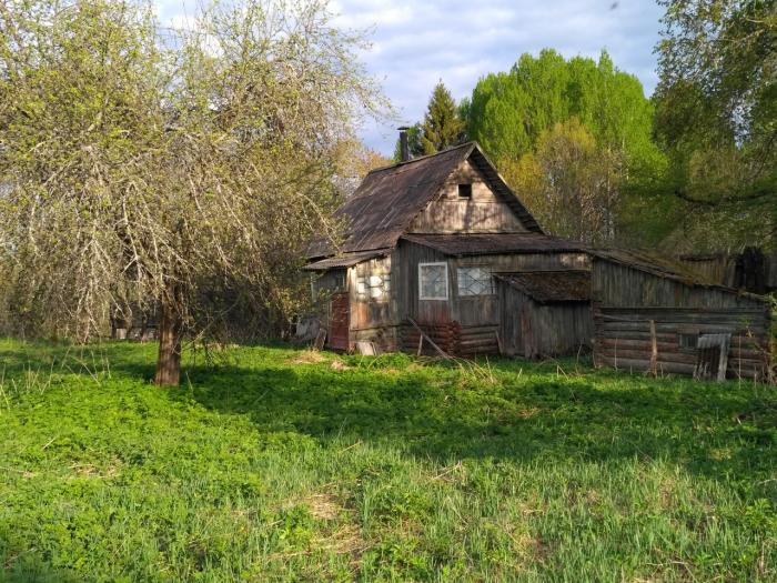 Область д. Псковская область Порховский район деревня Борок. Порховский район Славковская волость. Деревня Киевец Порховский район.