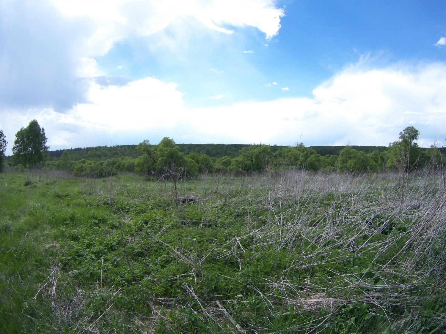 Погода аряш новобурасский. Село Аряш. Село Аряш Камешкирского района. Аряш Пензенская область село. Село Аряш Пензенская область Камешкирский район.