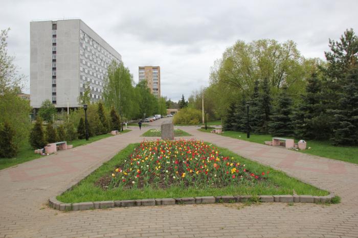 Мир дубна. Московская область город Дубна ОП Дубна. Дубна нет. Дубна польская. Мир цветов Дубна.