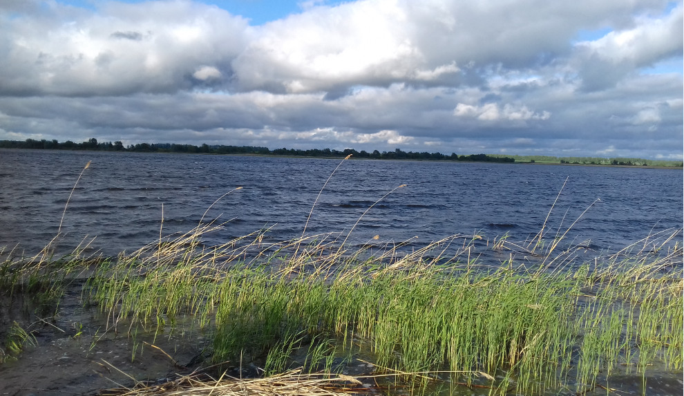 Челнавская водохранилище. Челнавское водохранилище. Сватовское водохранилище. Водохранилище гигант Тамбовская область. Староминское водохранилище.