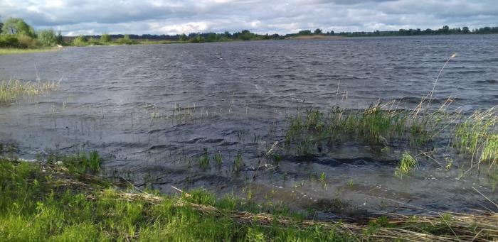 Челнавская водохранилище. Гигант водохранилище Тамбовской. Водохранилище гигант Тамбовская область. Водохранилище гигант.