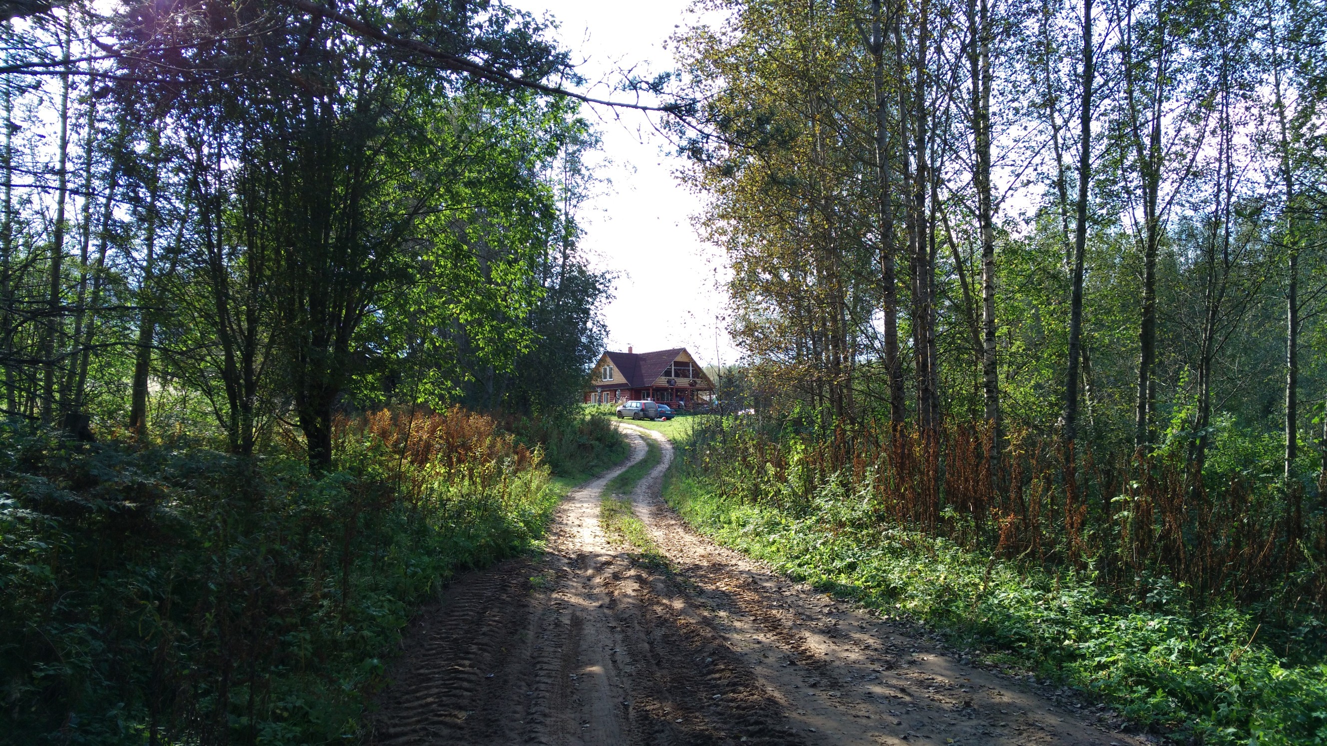 Лужская деревня. Пустынька Плюсского района. Деревня луг Плюсский район. Деревня Пустынька (луг). Пустынька Плюсский район деревня.