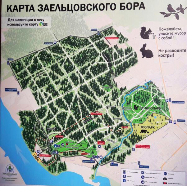 Карта заельцовского парка