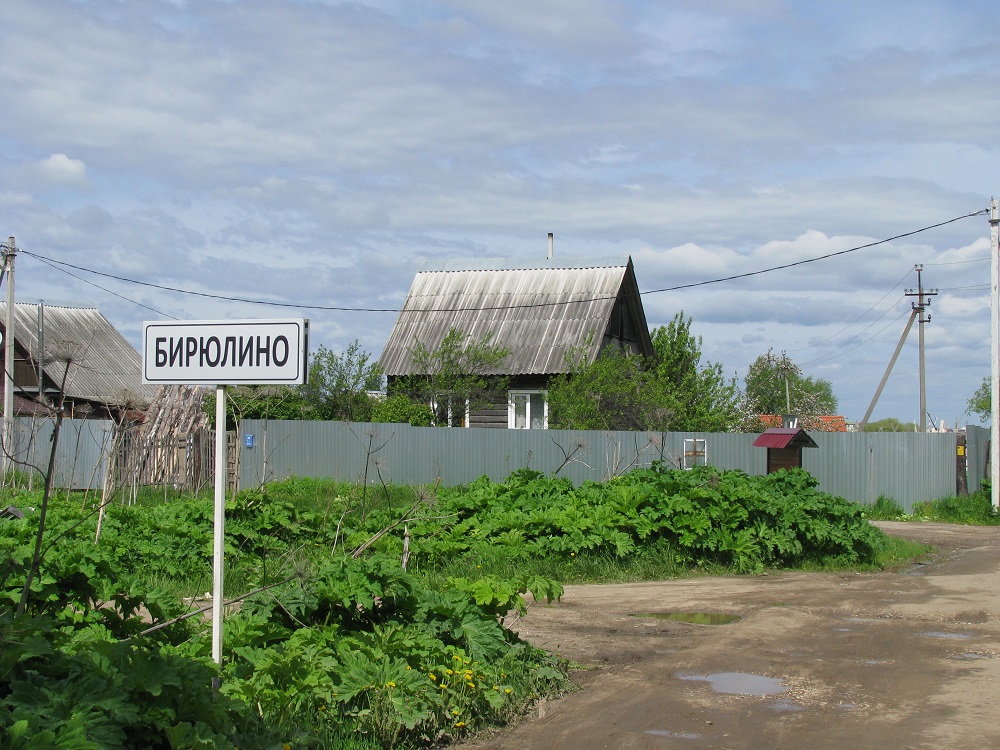 Бурашевское сельское поселение. Тверская область деревня Бирюлино. Дом Бирюлино Тверь. Тверь Калининский район д Бирюлино.