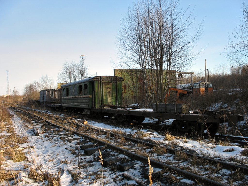 Боровенка новгородская область карта