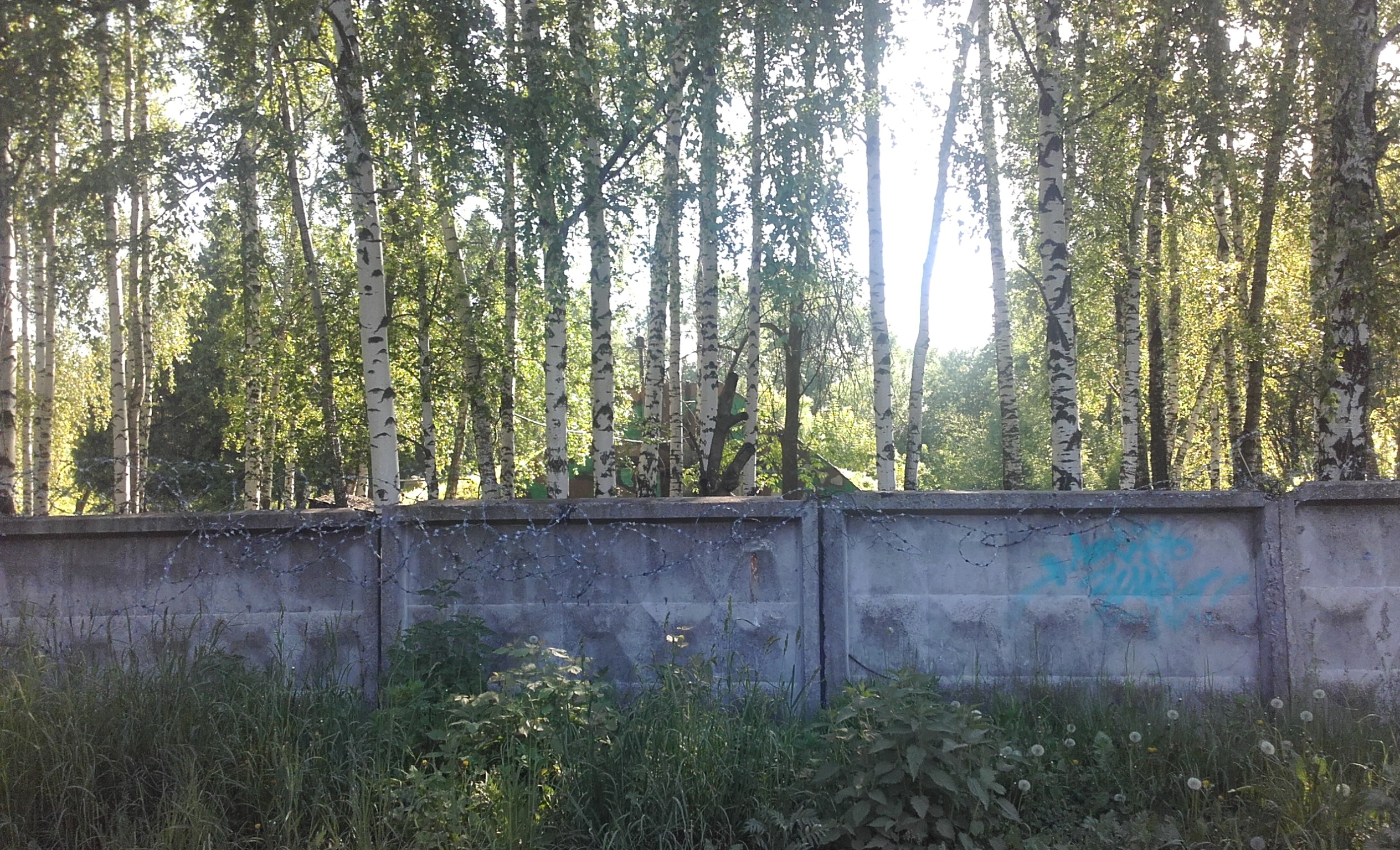 (Долгопрудный)