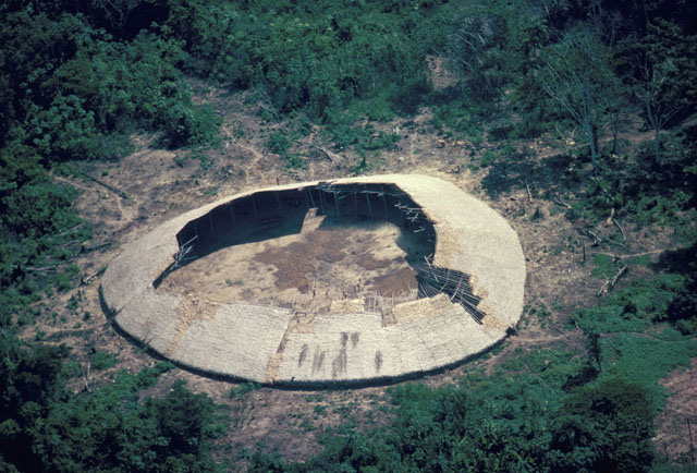 Yanomami shabono house