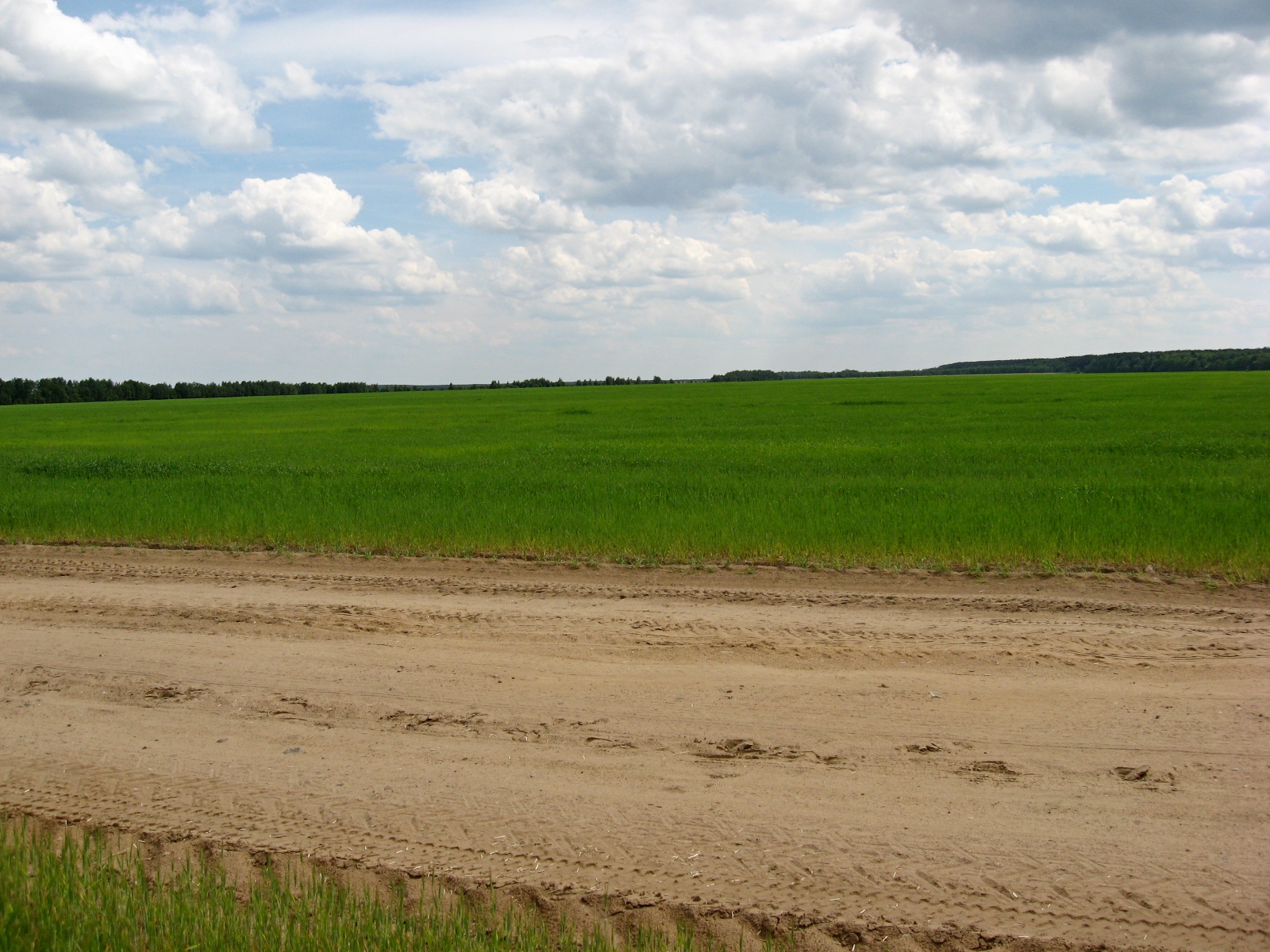 гомель аэродром военный. грунтовый аэродром. травяной аэродром. аэродром истринское водохранилище. аэродром в ростовской области.