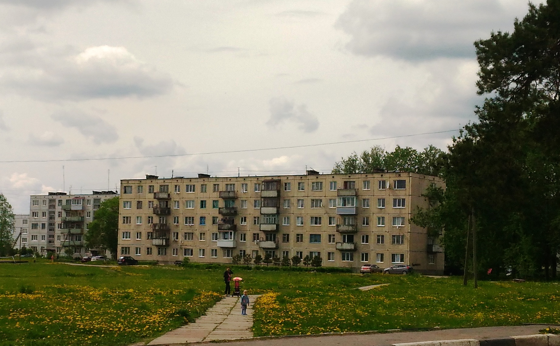 Пгт советский ленинградская область. Курковицы Ленинградская область Волосовский район. Курковицы Кикерино. Деревня Курковицы. Курковицы дом 4.