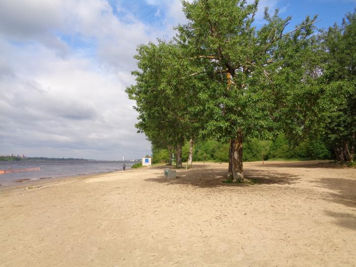 Фото пляжей череповца