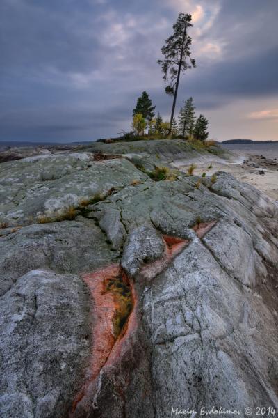 Seesjärvi